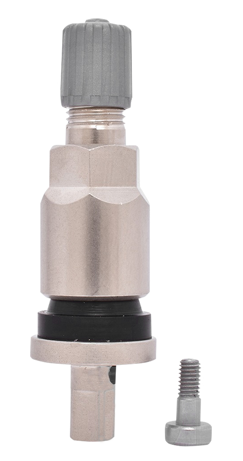 Dill TPMS OEM Replacement Valve Stem Matte Chrome - Storage